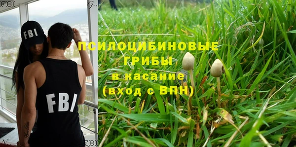 ECSTASY Алзамай