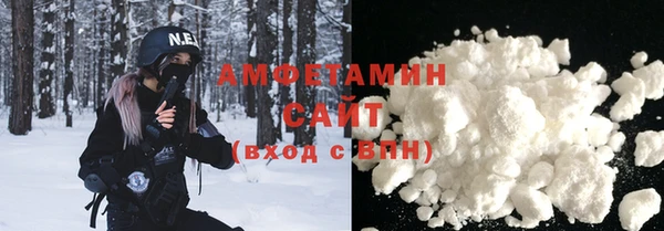 ECSTASY Алзамай