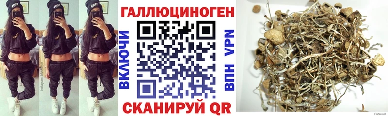 купить   darknet формула  Псилоцибиновые грибы Magic Shrooms  Киселёвск 